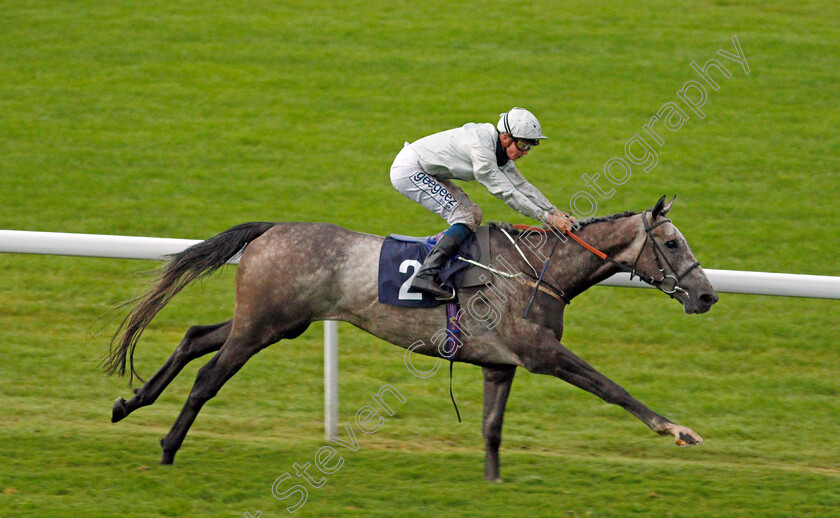 Camouflaged-0005 
 CAMOUFLAGED (David Probert) wins The Shadow Scaffolding Handicap
Chepstow 9 Jul 2020 - Pic Steven Cargill / Racingfotos.com