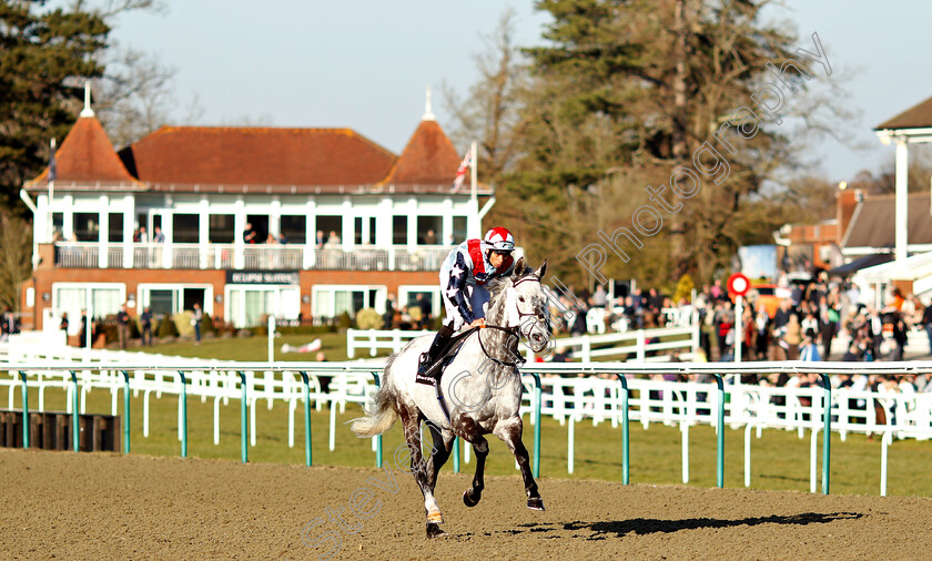 Master-The-World-0001 
 MASTER THE WORLD (Sean Levey)
Lingfield 23 Feb 2019 - Pic Steven Cargill / Racingfotos.com