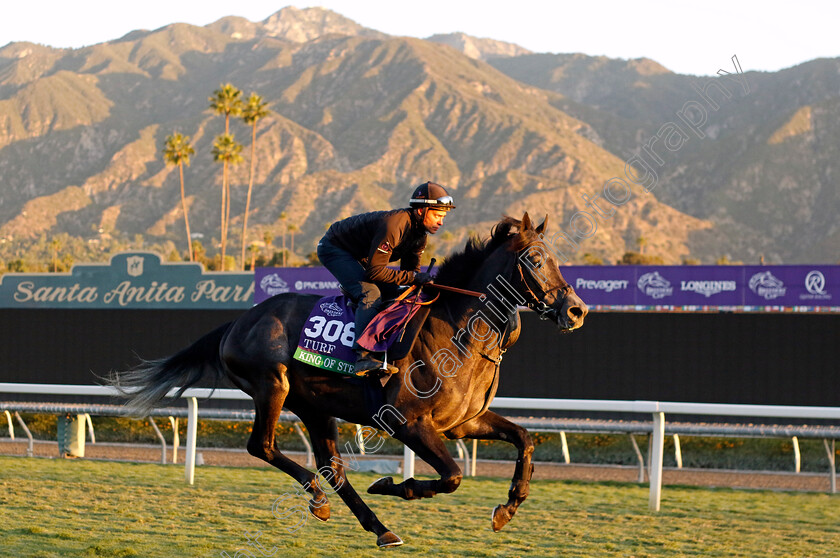 King-Of-Steel-0003 
 KING OF STEEL training for the Breeders' Cup Turf
Santa Anita USA, 1 Nov 2023 - Pic Steven Cargill / Racingfotos.com