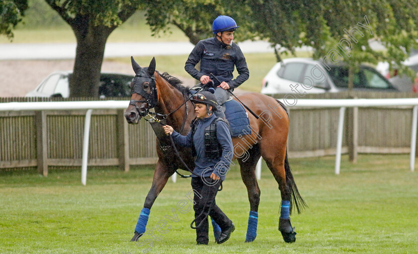 Emily-Upjohn-0010 
 EMILY UPJOHN (William Buick) after racecourse gallop 
Newmarket 1 Jul 2023 - Pic Steven Cargill / Racingfotos.com