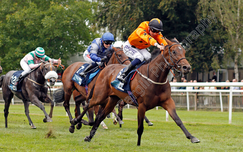 Dora-Penny-0002 
 DORA PENNY (David Probert) wins The European Bloodstock News British EBF Fillies Nursery
Newmarket 31 Jul 2021 - Pic Steven Cargill / Racingfotos.com