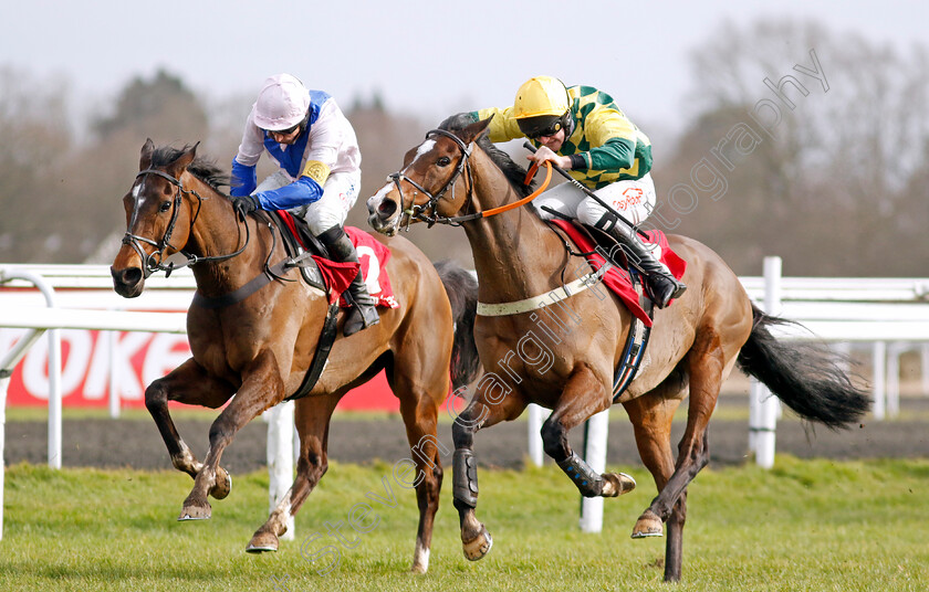 Mark-Of-Gold-and-Boombawn-0002 
 MARK OF GOLD (right, Caoilin Quinn) and BOOMBAWN (left, Harry Skelton)
Kempton 22 Feb 2025 - Pic Steven Cargill / Racingfotos.com