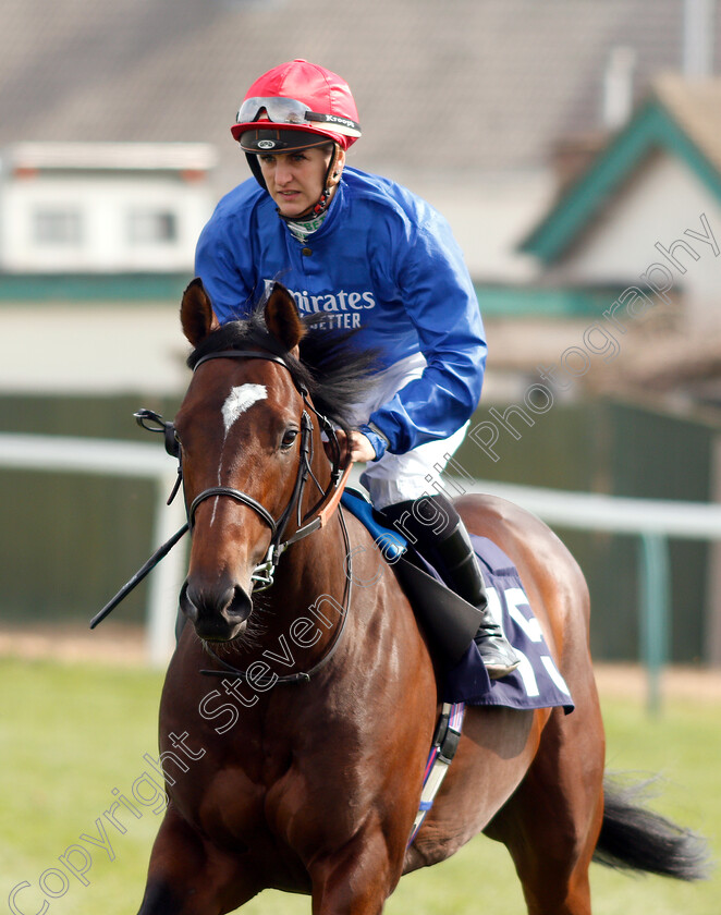 Sendeed-0001 
 SENDEED (Josephine Gordon)
Yarmouth 23 Apr 2019 - Pic Steven Cargill / Racingfotos.com