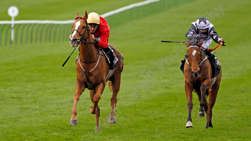 Awake-My-Soul-0005 
 AWAKE MY SOUL (Tom Queally) beats DOLPHIN VISTA (right) in The Play 3-2-Win At Mansionbet Handicap
Newmarket 30 Oct 2020 - Pic Steven Cargill / Racingfotos.com