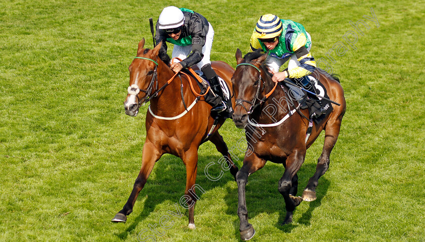 Midnights-Legacy-0005 
 MIDNIGHTS LEGACY (right, William Buick) beats HALIPHON (left) in The World Pool Northern Dancer Handicap
Epsom 4 Jun 2022 - Pic Steven Cargill / Racingfotos.com