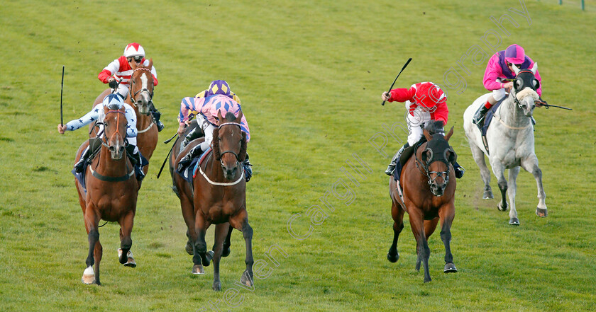 Han-Solo-Berger-0003 
 HAN SOLO BERGER (2nd left, Tom Queally) beats EXCELLENT GEORGE (left) and FOXY FOREVER (2nd right) in The Injured Jockeys Fund Handicap
Yarmouth 17 Sep 2019 - Pic Steven Cargill / Racingfotos.com