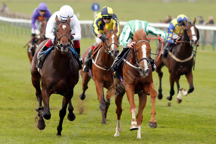 The-Olympian-0002 
 THE OLYMPIAN (right, Martin Harley) beats TRAVEL ON (left) in The Aptus Investment Fund Maiden Stakes
Newmarket 24 Oct 2018 - Pic Steven Cargill / Racingfotos.com