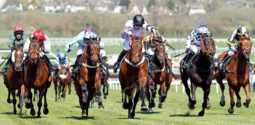 Champagne-Express-0001 
 CHAMPAGNE EXPRESS (centre, James Bowen) wins The Kingston Stud Supporting Greatwood Handicap Hurdle Cheltenham 18 Apr 2018 - Pic Steven Cargill / Racingfotos.com