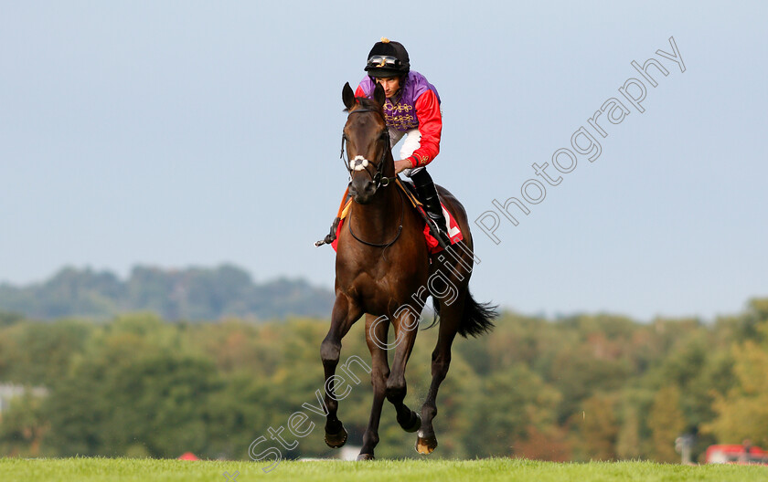 Calculation-0002 
 CALCULATION (Ryan Moore)
Sandown 9 Aug 2018 - Pic Steven Cargill / Racingfotos.com