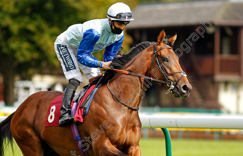 William-Bligh-0002 
 WILLIAM BLIGH (Harry Bentley)
Haydock 5 Sep 2020 - Pic Steven Cargill / Racingfotos.com