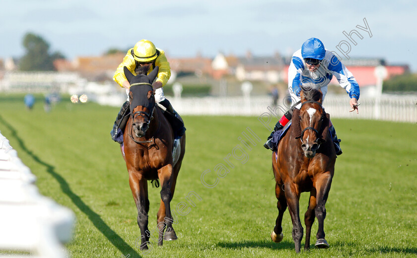 Ropey-Guest-0003 
 ROPEY GUEST (right, Tom Queally) beats AJYAALL (left) in The Sky Sports Racing Sky 415 Handicap
Yarmouth 15 Sep 2021 - Pic Steven Cargill / Racingfotos.com