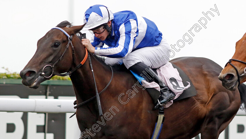 The-Terminus-0002 
 THE TERMINUS (Richard Kingscote) wins The Unibet Zero% Mission Maiden Fillies Stakes
Kempton 12 Jun 2024 - Pic Steven Cargill / Racingfotos.com