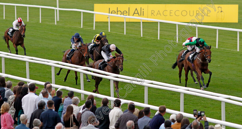 Plus-Point-0008 
 PLUS POINT (George Wood) wins The Venture Security Handicap
Newbury 27 Jul 2023 - Pic Steven Cargill / Racingfotos.com