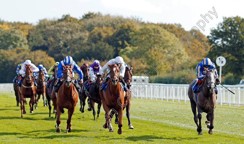 Belloccio-0001 
 BELLOCCIO (right, David Egan) beats ALEAS (centre) and MOHAAFETH (left) in The PKF Francis Clark British EBF Novice Stakes Div1
Salisbury 1 Oct 2020 - Pic Steven Cargill / Racingfotos.com