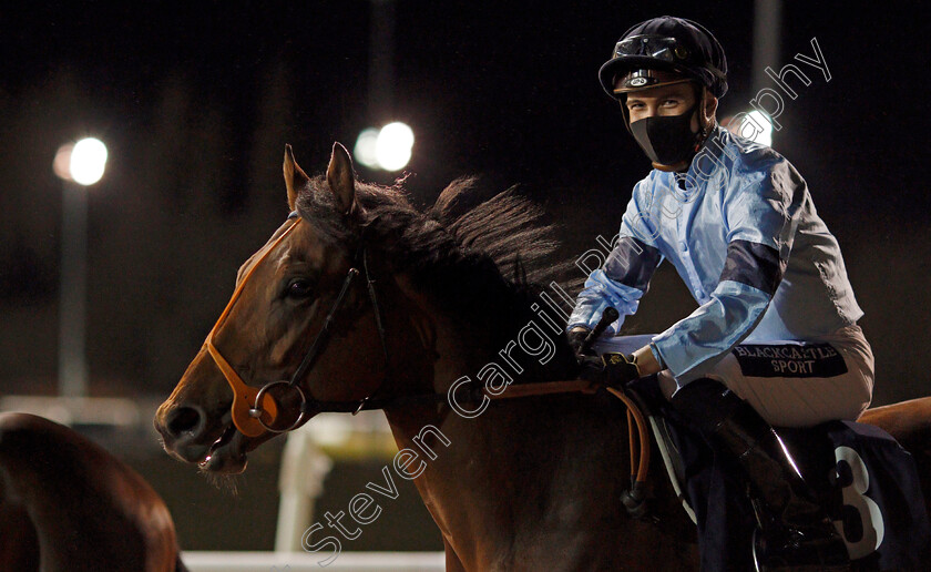 Host-0002 
 HOST (Thore Hammer Hansen)
Wolverhampton 11 Jan 2021 - Pic Steven Cargill / Racingfotos.com