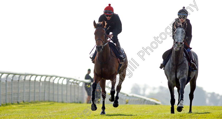 Perfect-Clarity-0011 
 PERFECT CLARITY (left, Adam, Kirby) exercising with LUIRA (right) at Epsom Racecourse in preparation for The Investec Oaks, 22 May 2018 - Pic Steven Cargill / Racingfotos.com