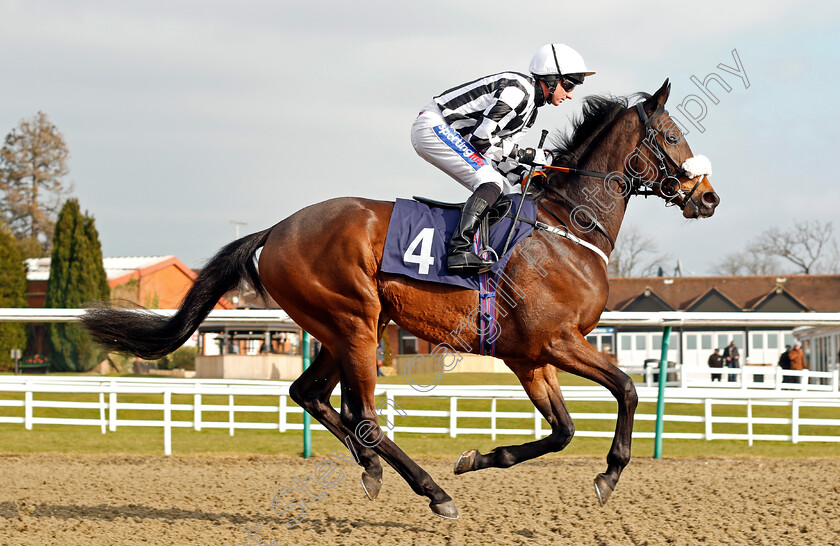 Odds-On-Oli-0001 
 ODDS ON OLI (Paul Hanagan) Lingfield 23 Feb 2018 - Pic Steven Cargill / Racingfotos.com