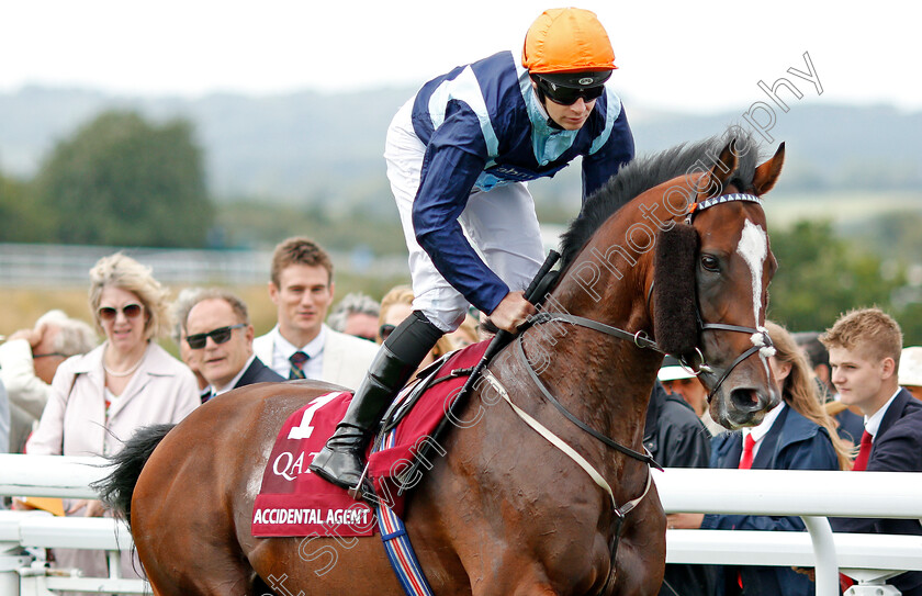 Accidental-Agent-0002 
 ACCIDENTAL AGENT (Charles Bishop)
Goodwood 31 Jul 2019 - Pic Steven Cargill / Racingfotos.com