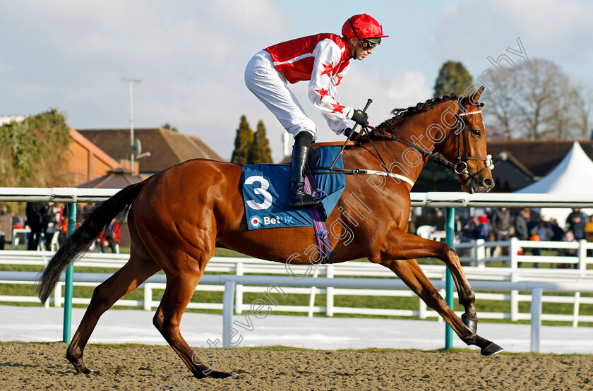 Dream-Harder-0001 
 DREAM HARDER (James Doyle)
Lingfield 21 Jan 2023 - Pic Steven Cargill / Racingfotos.com