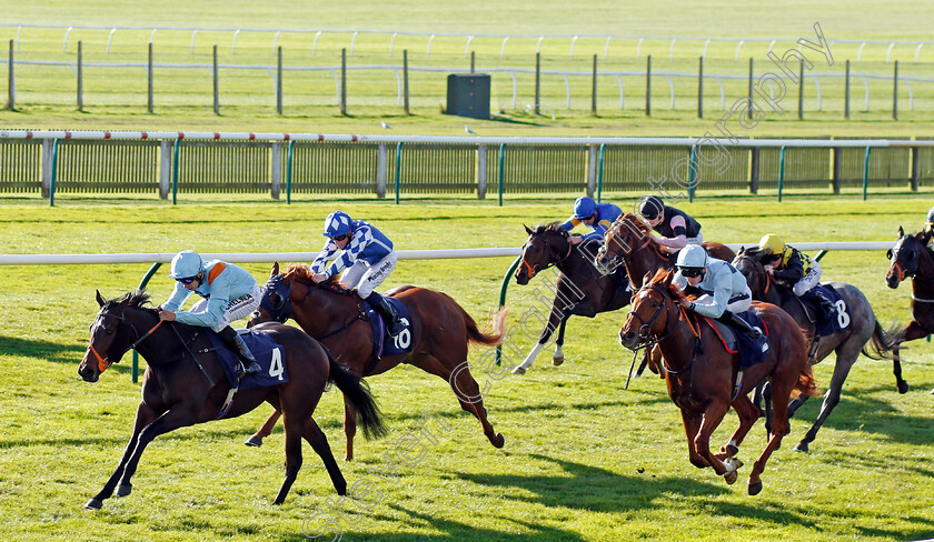 Lexington-Grace-0003 
 LEXINGTON GRACE (Sean Levey) wins The Newmarket Equine Security Nursery Newmarket 25 Oct 2017 - Pic Steven Cargill / Racingfotos.com