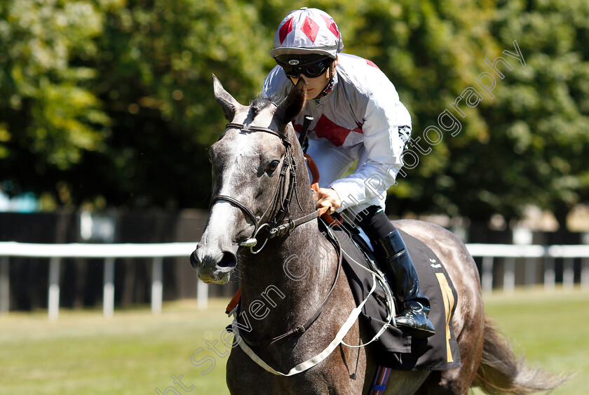 The-Trader-0001 
 THE TRADER (Harry Bentley)
Newmarket 30 Jun 2018 - Pic Steven Cargill / Racingfotos.com