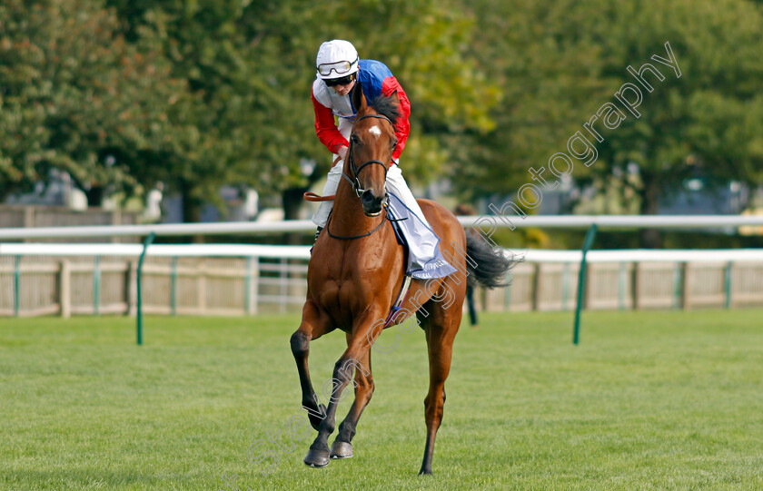 Fair-Point-0001 
 FAIR POINT (Rob Hornby)
Newmarket 27 Sep 2024 - Pic Steven Cargill / Racingfotos.com