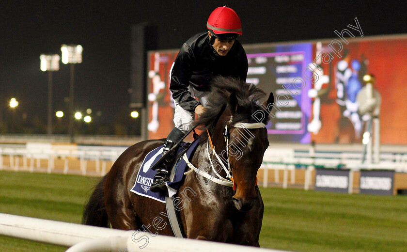 Majestic-Mambo-0001 
 MAJESTIC MAMBO (Dane O'Neill)
Meydan 9 Jan 2020 - Pic Steven Cargill / Racingfotos.com