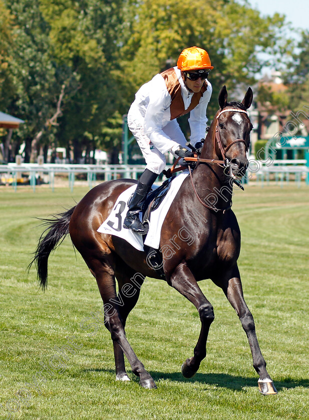 Glycon-0001 
 GLYCON (JB Eyquem)
Deauville 7 Aug 2022 - Pic Steven Cargill / Racingfotos.com