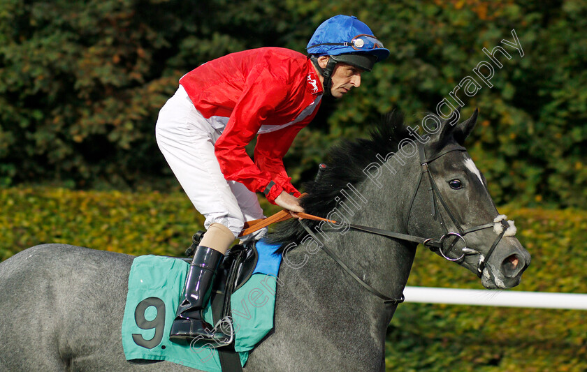 Procedure-0001 
 PROCEDURE (Ted Durcan) Kempton 4 Oct 2017 - Pic Steven Cargill / Racingfotos.com