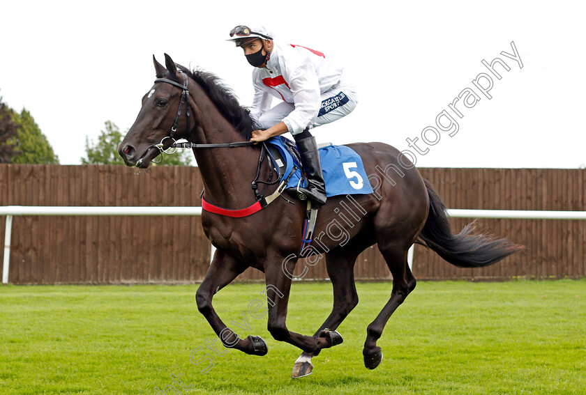 Be-Be-Ex-0001 
 BE BE EX (Thore Hammer Hansen)
Leicester 15 Jul 2021 - Pic Steven Cargill / Racingfotos.com