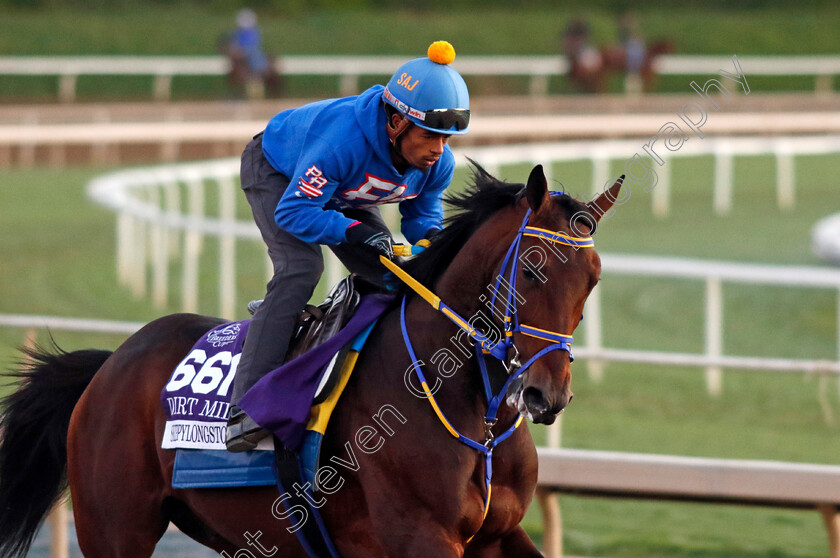 Skippylongstocking-0002 
 SKIPPYLONGSTOCKING training for The Breeders' Cup Dirt Mile
Santa Anita USA, 31 October 2023 - Pic Steven Cargill / Racingfotos.com