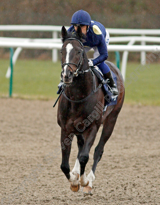 Corvair-0001 
 CORVAIR (Silvestre De Sousa) winner of The Ladbrokes Home Of The Odds Boost Handicap
Lingfield 4 Mar 2020 - Pic Steven Cargill / Racingfotos.com