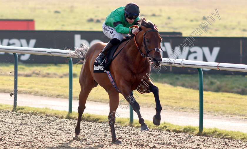 Kachy-0005 
 KACHY (Richard Kingscote) wins The Betway Cleves Stakes
Lingfield 2 Feb 2019 - Pic Steven Cargill / Racingfotos.com