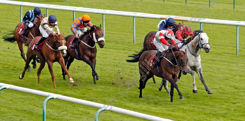 Count-D Orsay-0001 
 COUNT D'ORSAY (David Allan) beats CAME FROM THE DARK (right) in The Betfair Each Way Edge Be Friendly Handicap
Haydock 5 Sep 2020 - Pic Steven Cargill / Racingfotos.com