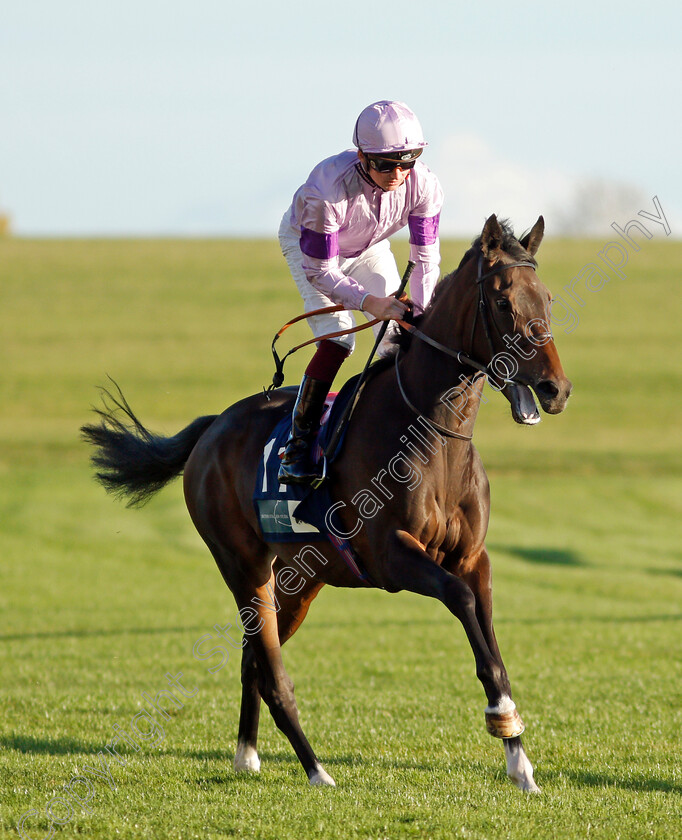 The-Gadget-Man-0002 
 THE GADGET MAN (Rob Hornby)
Newmarket 20 Oct 2021 - Pic Steven Cargill / Racingfotos.com