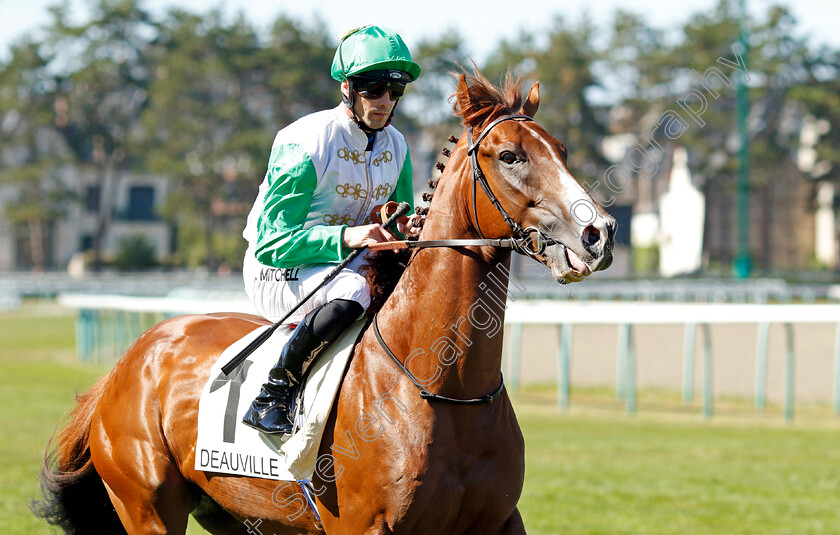 Al-Dasim-0002 
 AL DASIM (Jack Mitchell)
Deauville 6 Aug 2022 - Pic Steven Cargill / Racingfotos.com