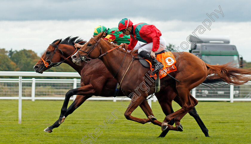 Danehill-Kodiac-0003 
 DANEHILL KODIAC (farside, Sean Levey) beats WALDGEIST (nearside) in The Gigaset Cumberland Lodge Stakes Ascot 7 Oct 2017 - Pic Steven Cargill / Racingfotos.com