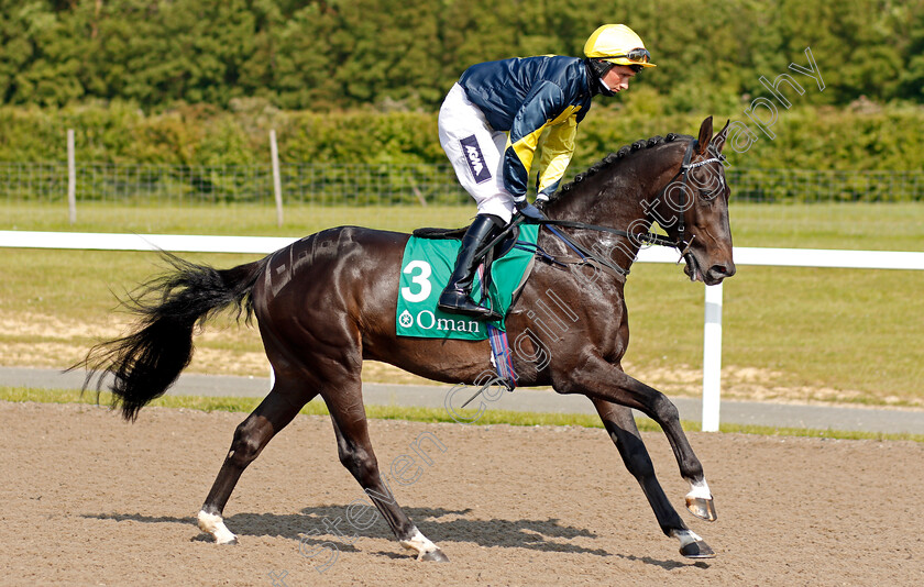 Sahis-0001 
 SAHIS (Alex Chadwick) winner of The Al Bustan Beach Handicap (for purebred arabians)
Chelmsford 3 Jun 2021 - Pic Steven Cargill / Racingfotos.com