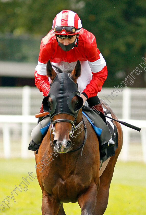 Line-Of-Departure-0001 
 LINE OF DEPARTURE (David Egan)
Newbury 19 Jul 2020 - Pic Steven Cargill / Racingfotos.com