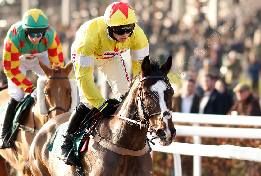 Ibis-Du-Rheu-0001 
 IBIS DU RHEU (Harry Cobden)
Cheltenham 14 Dec 2018 - Pic Steven Cargill / Racingfotos.com