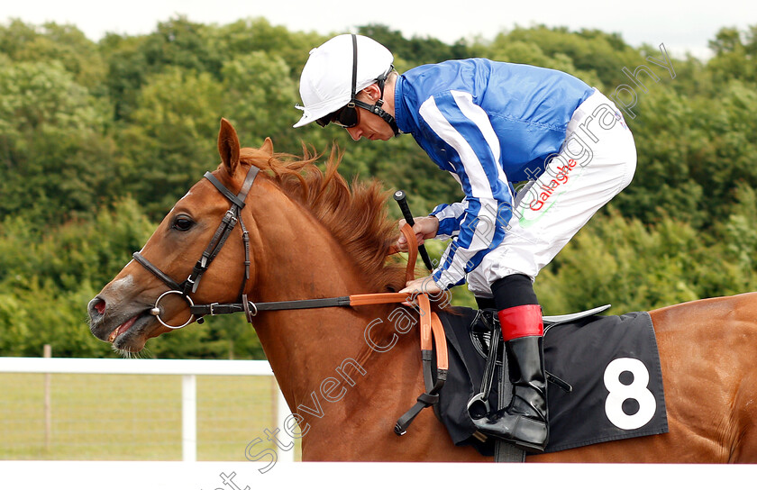 Saedi-Shaahd-0001 
 SAEDI SHAAHD (Shane Kelly)
Chelmsford 13 Jun 2018 - Pic Steven Cargill / Racingfotos.com