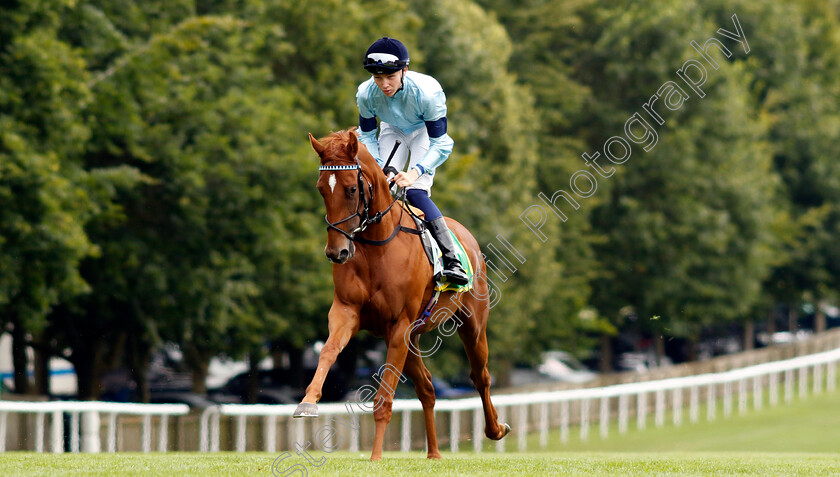 Bountiful-0002 
 BOUNTIFUL (Billy Loughnane) 
Newmarket 12 Jul 2024 - Pic Steven Cargill / Racingfotos.com