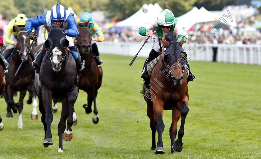 Duke-Of-Hazzard-0003 
 DUKE OF HAZZARD (right, P J McDonald) beats TURJOMAAN (left) in The Bonhams Thoroughbred Stakes
Goodwood 2 Aug 2019 - Pic Steven Cargill / Racingfotos.com