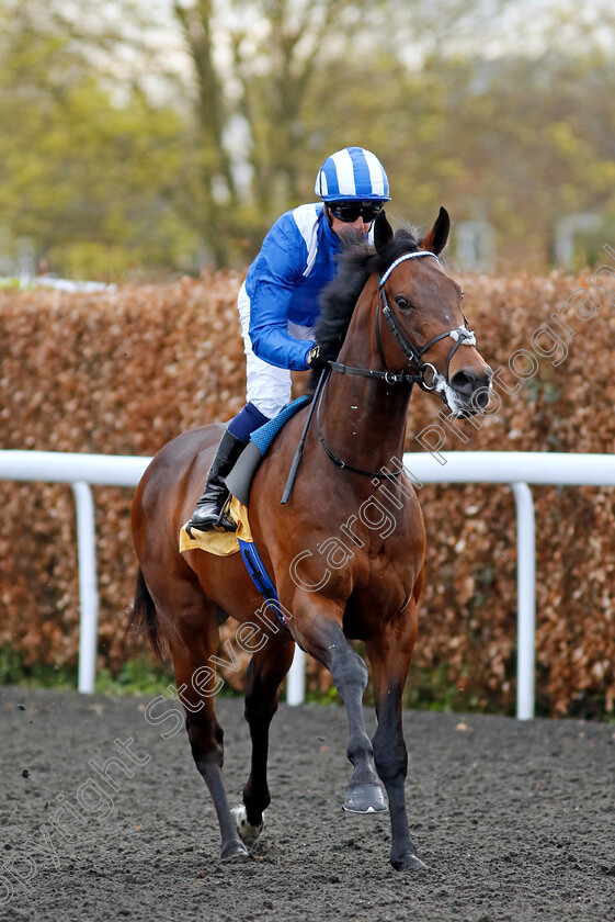 Saji-0001 
 SAJI (Jim Crowley)
Kempton 3 Apr 2024 - Pic Steven Cargill / Racingfotos.com