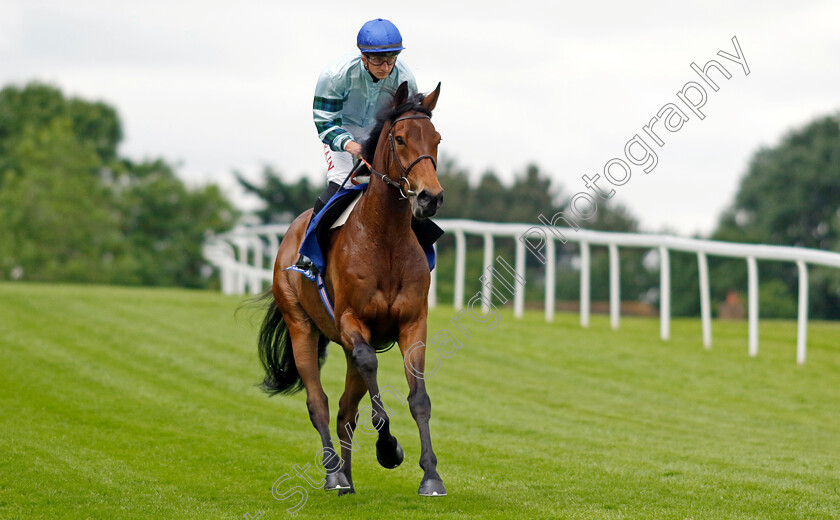 Quickthorn-0002 
 QUICKTHORN (Tom Marquand) winner of The Coral Henry II Stakes
Sandown 26 May 2022 - Pic Steven Cargill / Racingfotos.com