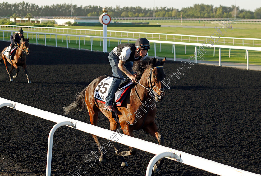 Enemy-0002 
 ENEMY training at the Dubai World Cup Carnival
Meydan 5 Jan 2023 - Pic Steven Cargill / Racingfotos.com