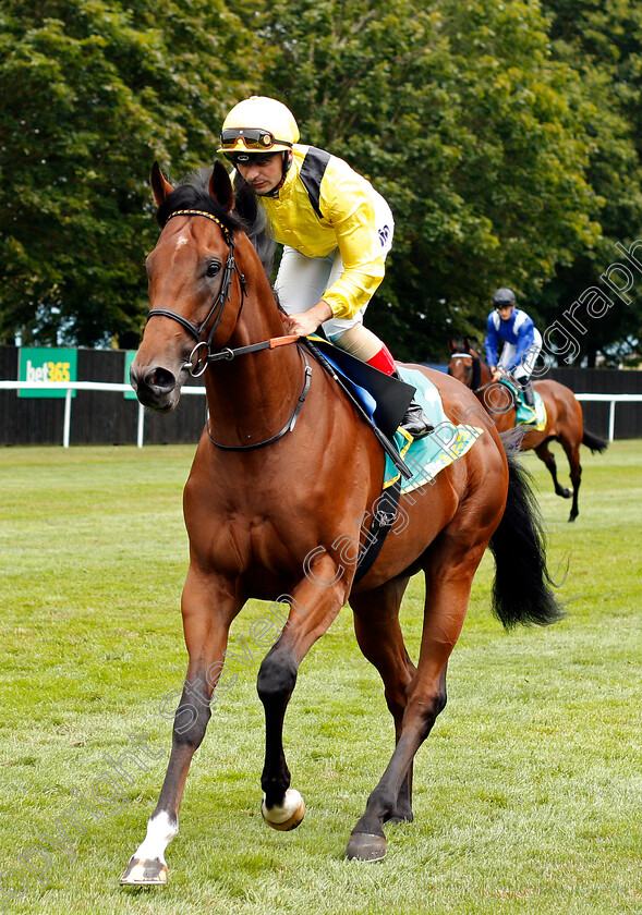 Bayroot-0001 
 BAYROOT (Andrea Atzeni)
Newmarket 13 Jul 2019 - Pic Steven Cargill / Racingfotos.com