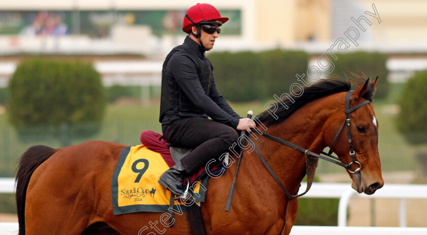 Luxembourg-0003 
 LUXEMBOURG training for The Neom Turf Cup
King Abdulaziz Racetrack, Saudi Arabia 22 Feb 2024 - Pic Steven Cargill / Racingfotos.com