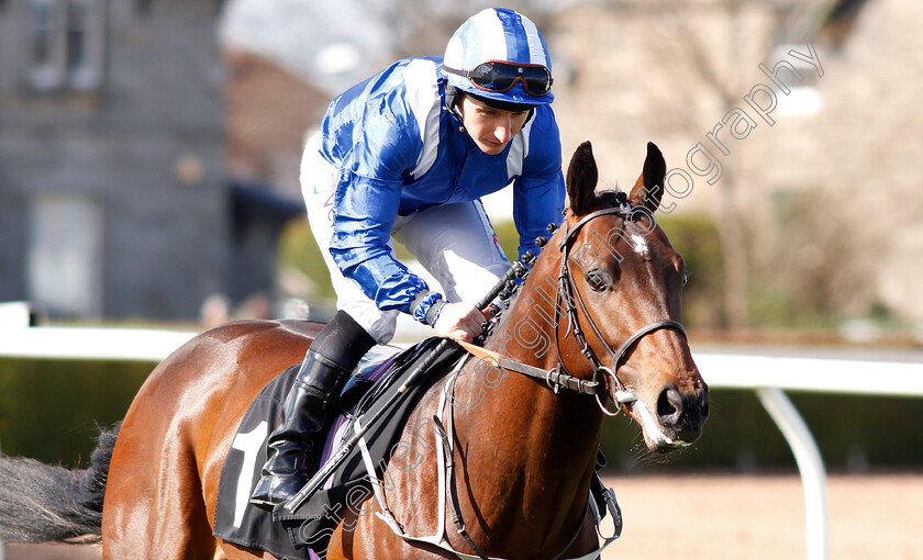 Alminoor-0002 
 ALMINOOR (P J McDonald)
Musselburgh 2 Apr 2019 - Pic Steven Cargill / Racingfotos.com