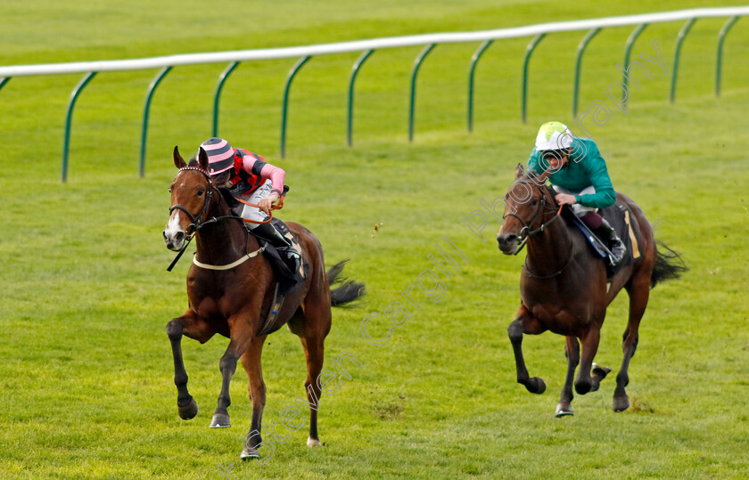 Many-Men-0004 
 MANY MEN (Jack Doughty) beats ANNIVERSARY (Rob Hornby) in The British StallionStuds EBF Future Stayers Nursery
Newmarket 23 Oct 2024 - Pic Steven Cargill / Racingfotos.com